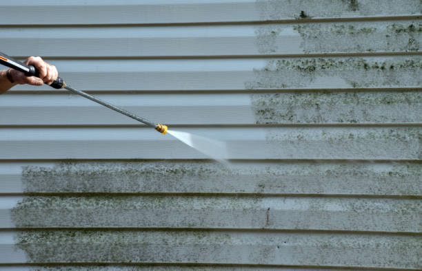 Best Affordable Pressure Washing  in Brookhaven, MS