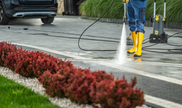 Best Pressure Washing Driveway  in Brookhaven, MS